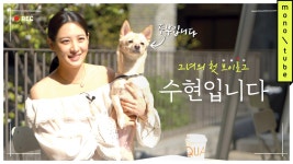 	뉴스상세보기 | 더한섬닷컴 [뉴스]  #TIMEformyself with 배우 수현
