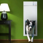 Electronically Automated Doggy Doors : Automated Doggy Doors 