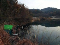 조황/조행기 > 작품 조행기 > 장꾼의 난전(신기지)
