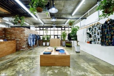 서울 용산구 한남동 Greenery 행잉플랜트로 꾸민 감각적인... 중개 플랫폼 집닥 행잉플랜트로 꾸민 감각적인 편집샵트렌디한 식물 인테리어