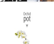 eva solo ORCHID pot -  [New Lifestyle Store, FUNSHOP]  eva solo ORCHID pot [펀샵]
