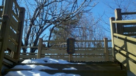 북악산 사랑과 북카페 연애