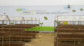 도심속의 농장 청량리 롯데백화점 옥상공원