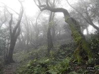 아름다운 마을 숲을 찾습니다