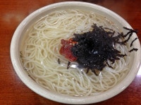 WIKITREE | Social Network News Service