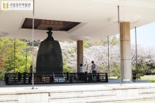 국립경주박물관에 찾아온 봄
