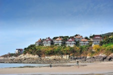 WIKITREE | Social Network News Service