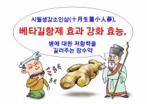 이른 아침의 생강 세편이 인삼보다 낫다