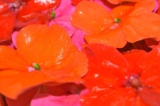 WIKITREE | 해운대 행복나눔센터 입주기업 취재일지 동이꽃 해운대 행복나눔센터 입주기업 취재일지 동이꽃