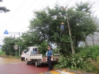 WIKITREE | Social Network News Service