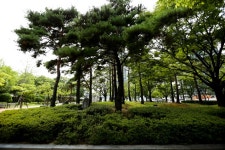 가족 나들이 코스로 좋은 서울세계불꽃축제 가족 명당자리 TOP 5