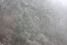 WIKITREE | “첫 눈내린 주왕산과 주산지 풍경” “첫 눈내린 주왕산과 주산지 풍경”