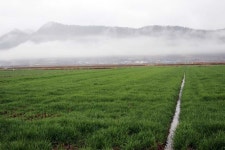 WIKITREE | 보성군, 2018년 축산사업에 120억 원 투입 보성군, 2018년 축산사업에 120억 원 투입