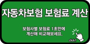 현대해상 하이카다이렉트 실시간 보험료 바로 계산해보기!