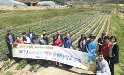 WIKITREE | 곡성군, 반부패·청렴 실천 결의대회 및 청렴교육 개최 곡성군, 반부패·청렴 실천 결의대회 및 청렴교육 개최