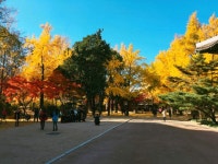 2018년 하반기 문화유산국민신탁 다같이 돌자 정동한바퀴 재개