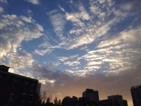 2018년 하반기 문화유산국민신탁 다같이 돌자 정동한바퀴 재개