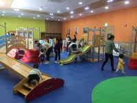 놀이 음악 아트 프로그램의 선두주자 짐보리