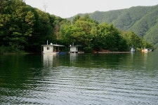 나들이 민물낚시 노지조행기 > 춘천호 호수낚시터를 찾아서 : 낚시사랑