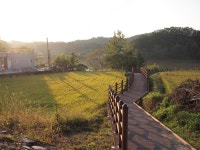 나와유의 오감만족 이야기 :: [대전여행] 걷고싶은길 제2편, 로하스해피로드 (산책길,대청댐,대청호)[대전여행] 걷고싶은길 제2편... 