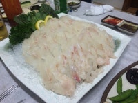 [맛집] 제주 삼바리회센타 - 제주도심에 숨어있는 싱싱한 다금바리와 방어, 돔 전문점 : 클리앙