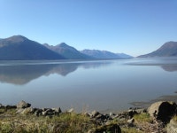 미국 소액투자 이민온 사람들 이야기 | 네이트 판