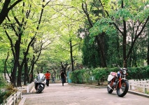 [충남] 080517 남산 - 디시라이더스 갤러리