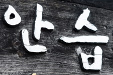 오늘의유머 - 순천여행 순천여행