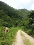 비수구미 민박- 비빔밥 - 뽐뿌:등산포럼 화천 비수구미 마을 트레킹... 임도-비수구미 왕복 12km,5시간 소요) 비수구미 민박- 비빔밥