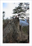산행기 - _ _ _ 도락산..