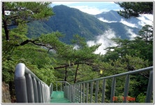 백두대간 - 백두대간 따라가기 제13구간(버리미기재-희양산-이화령)