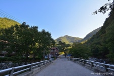 방산백두산악회 | [울산산행] 바람에 춤추는 억새의 군무, 울산 신불산 억새산행 - Daum 카페 [울산산행] 바람에 춤추는 억새의 군무, 울산 신불산... 