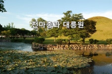 경주역사여행] 천오백년전 하늘을 나는 천마를 보다 (대릉원과 천마총)