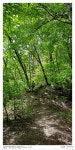 산행기 - [석문동(신선)지맥3]<솔치재-주월령>...명산 박달산과 주월산
