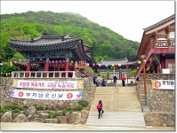팔공산자연공원관리사무소게시판 | 대구광역시 팔공산자연공원관리사무소