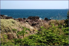 그 아름다움, 5월의 제주 올레길 - 5코스 3편