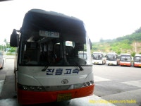 춘천시외버스터미널의 bus들 - 버스 갤러리