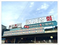 울진 후포어시장에서~홍게 특대,이시가리,까치복~ - 경북/울진 지역 추천맛집 후포어시장 후기