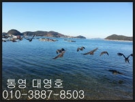 대영호]생활낚시 자~알됩니다!!