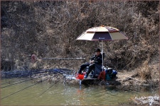 (연하곡지)바람따라 구름따라 566회 :: 토종붕어를 사랑하는 사람들