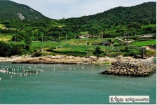 백야도~금오도,직포 [여수여행/금오도 비렁길] - Daum 카페 아름다운 명품 바닷길! 백야도~금오도,직포 [여수여행/금오도 비렁길]