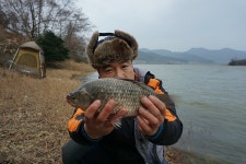 진도 봉암지와 세방낙조를 다녀와서... :: 토종붕어를 사랑하는 사람들