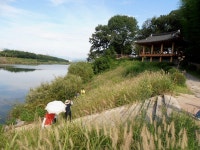 [1박 2일 울산여행] 태화강대공원, 대왕암 해상관광, 울산 맛집 언양 떡갈비 | 네이트 판