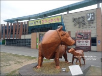 홍천맛집 늘푸름홍천한우프라자