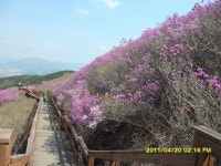 산행기 - 천주산(天柱山)641m 등산기