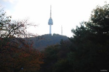 7.5차 저질 체력 산행 후기- 청계산(일요일 남산) - 등산 갤러리