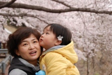 전국공무원노동조합 부산지역본부 사하구지부 2010년 봄에 만난 아름다운 모습들