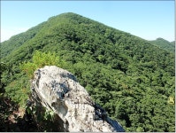 백두대간 - 백두대간(사다리재-백화산-황학산-이화령) 산행기<20차>