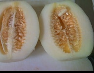 참외, 육수내기 , 시락국 - 기타음식 갤러리