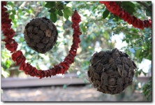 [여수] 동백아가씨가 되어 걸어본 오동도